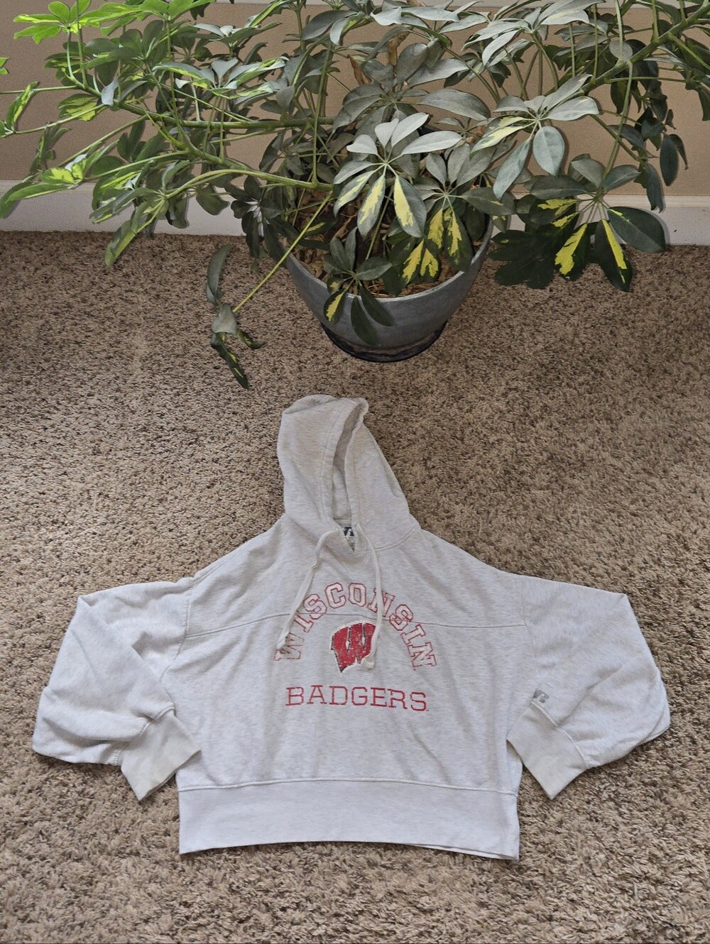 Wiscons Badgers Crop Hoodie Wmns XL